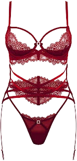 Lingerie & Accessories